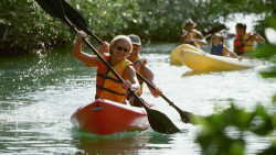 Tropical Kayaking